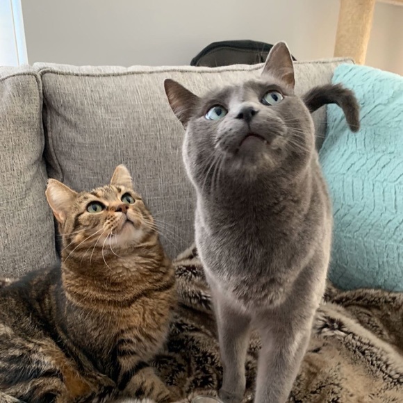 Meet your Posher, Heming - Picture 1 of 1